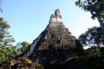 Gwatemala, Tikal