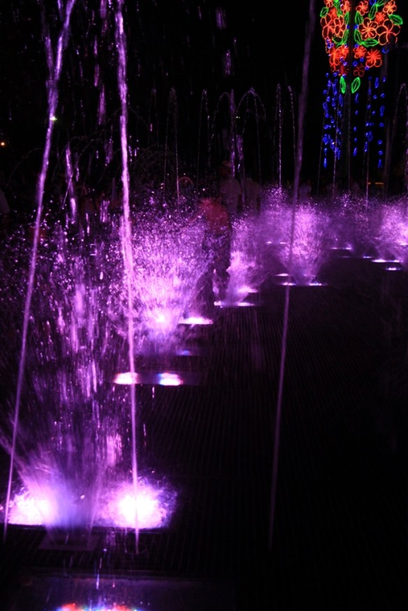 IMG_4264 szampanskiej zabawy