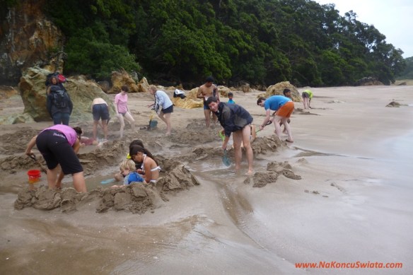 130326 cluster 49329